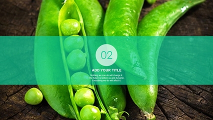 绿色蔬菜农产品PPT模板免费下载指南