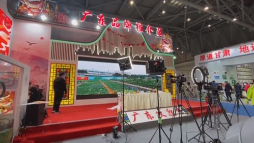 揭阳20家企业亮相第十八届中国国际农产品交易会，展示优质农产品新风貌