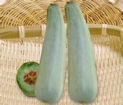 山东甜瓜代收公司 个体经营助力农产品产销对接