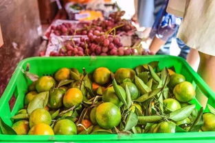 永久售卖裸价农产品，秀丽东方打造天府赶场文化第一街