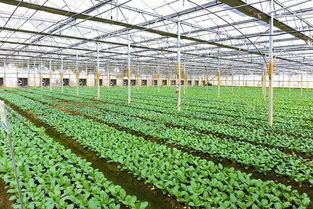 江苏省农业农村厅及13市农业农村局调研云厨一站全产业链发展